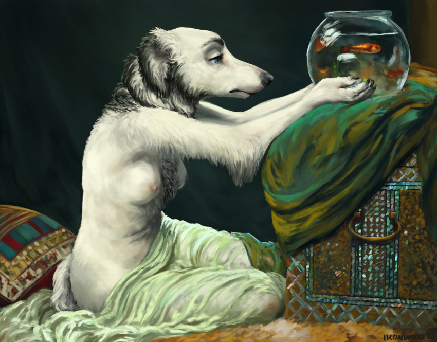 anthro aquarium arm_tuft blue_eyes borzoi breasts canid canine canis chest_tuft cyprinid cypriniform domestic_dog elbow_tufts female fish fish_bowl fur goldfish hi_res hunting_dog ironwood mammal marine nude sighthound sitting small_breasts solo tuft vivarium white_body white_fur