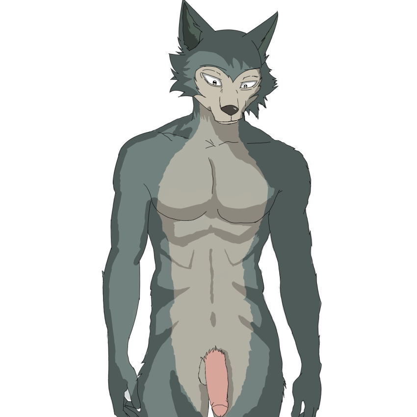 1:1 alpha_channel anthro athletic balls beastars canid canine canis genitals hi_res legoshi_(beastars) male mammal nude penis solo standing wolf wuufie