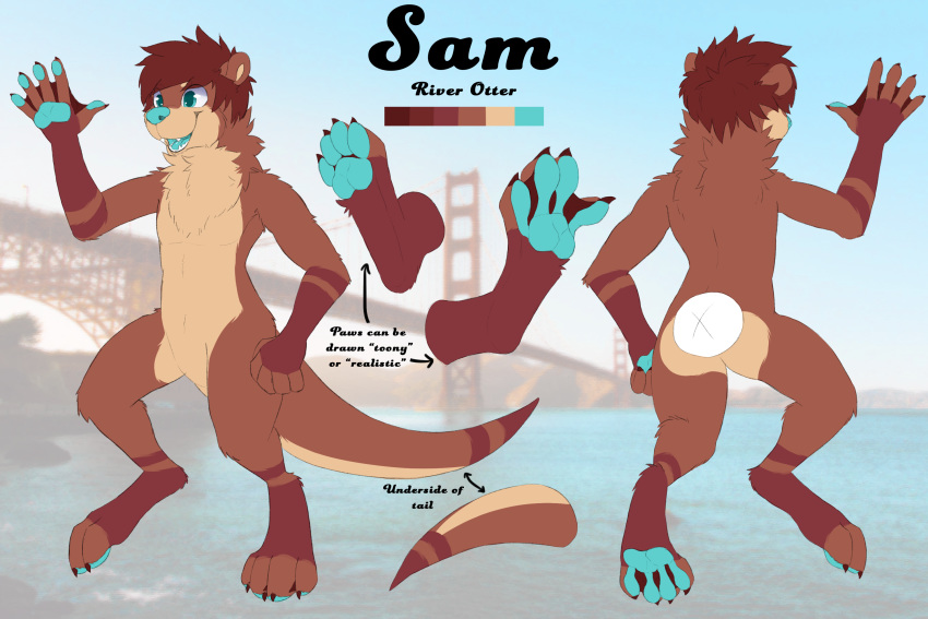 3:2 anthro california chest_tuft feet front_view fur hi_res lutrine male mammal membrane_(anatomy) model_sheet mowshi multicolored_body multicolored_fur mustelid neck_tuft open_mouth pawpads paws rear_view reference_image river_otter sam_(mowshi) smile solo text thick_tail tuft two_tone_body two_tone_fur webbed_feet webbed_hands