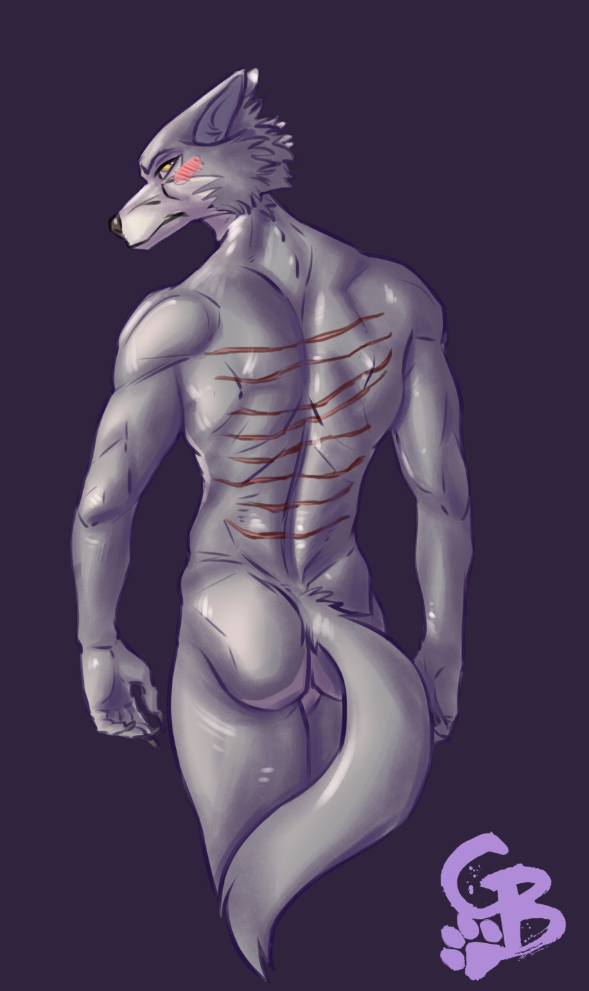 2020 absurd_res anthro beastars blush butt canid canine canis fur goldeyboi grey_body grey_fur hi_res legoshi_(beastars) looking_at_viewer looking_back male mammal muscular muscular_male nude portrait rear_view scar scratches solo standing three-quarter_portrait wolf