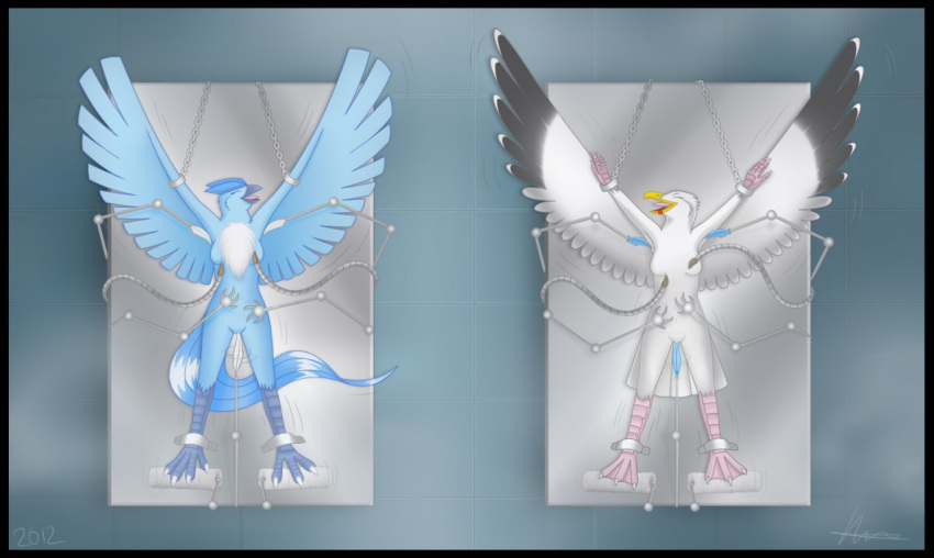 2012 3_toes 4_fingers 4_toes anisodactyl ankles_tied anthro anthrofied arms_tied articuno articuno_(artist) avian beak biped bird bird's-eye_view bird_feet black_border black_feathers black_wings blue_feathers blue_wings border bound breasts chain chest_tuft claws crest digital_drawing_(artwork) digital_media_(artwork) duo eyelashes eyes_closed feather_tuft feathered_wings feathers featureless_breasts featureless_crotch female full-length_portrait fully_bound great_black-backed_gull grey_beak high-angle_view inside laugh legendary_pok&eacute;mon lighting loose_feather lying machine medium_breasts motion_lines multicolored_feathers nintendo non-mammal_breasts nude on_back on_table open_beak open_mouth open_smile pink_tongue pok&eacute;mon pok&eacute;mon_(species) pok&eacute;morph portrait raised_arm red_beak restrained seagull shadow shaking shivering smile spread_arms spread_wings table tail_feathers talons tickle_fetish tickle_torture tickling tickling_armpits tickling_belly tickling_breasts tickling_crotch tickling_feet tickling_machine toe_claws toes tongue tuft two_tone_beak two_tone_feathers two_tone_wings video_games webbed_feet white_claws white_feathers white_wings winged_arms wings yellow_beak
