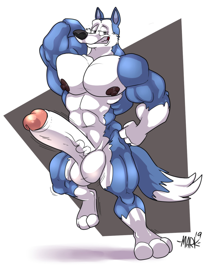 anthro balls big_penis blue_body blue_fur canid canine canis domestic_dog exile_(road_rovers) foxbtails fur genitals hi_res humanoid_genitalia humanoid_penis husky male mammal muscular muscular_male nordic_sled_dog penis road_rovers solo spitz