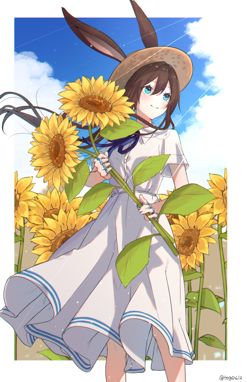 1girl alternate_costume amiya_(arknights) amopui animal_ears arknights blue_eyes blue_neckwear blue_sky blush breasts bunny_ears casual closed_mouth cloud cloudy_sky commentary cowboy_shot day dress eyebrows_visible_through_hair flower hair_between_eyes hat highres holding holding_flower jewelry light_rays long_hair multiple_rings neck_ribbon outdoors outside_border ponytail ribbon ring short_sleeves sky small_breasts smile solo straw_hat sunflower sunlight twitter_username white_dress wind