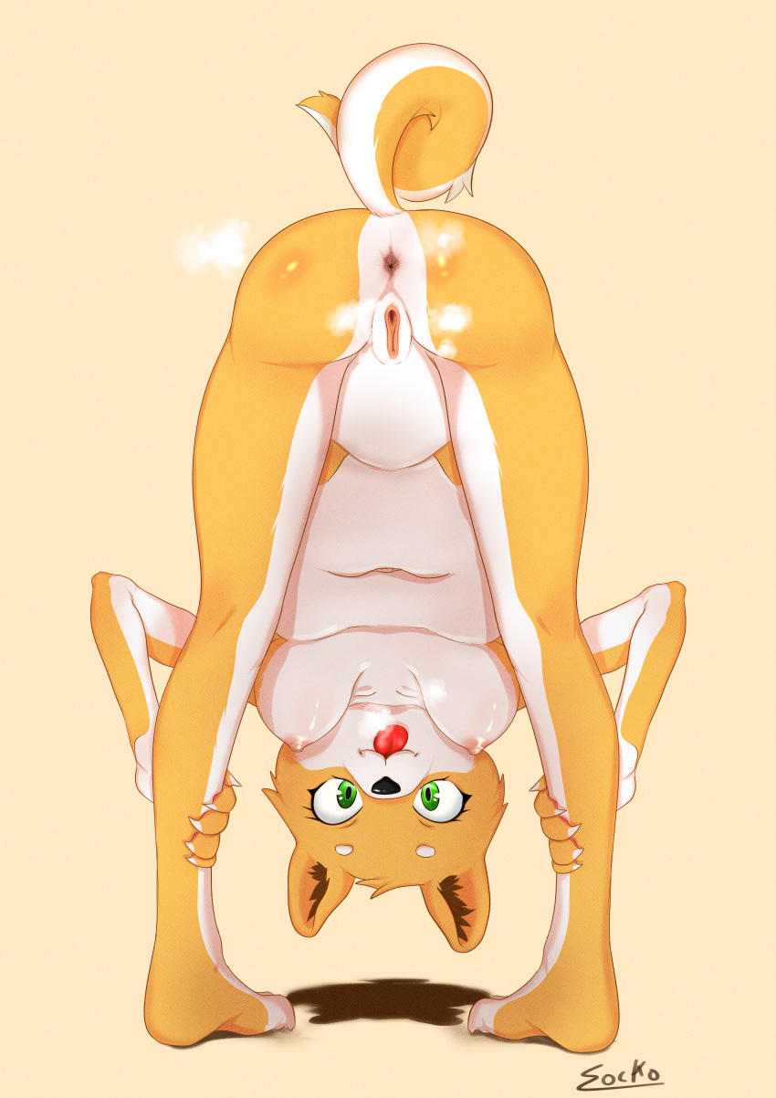 absurd_res anthro anus biped breasts butt canid canine canis digital_drawing_(artwork) digital_media_(artwork) domestic_dog female fur genitals hi_res looking_at_viewer mammal nipples nude pussy shiba_inu signature small_breasts smile socko solo spitz text