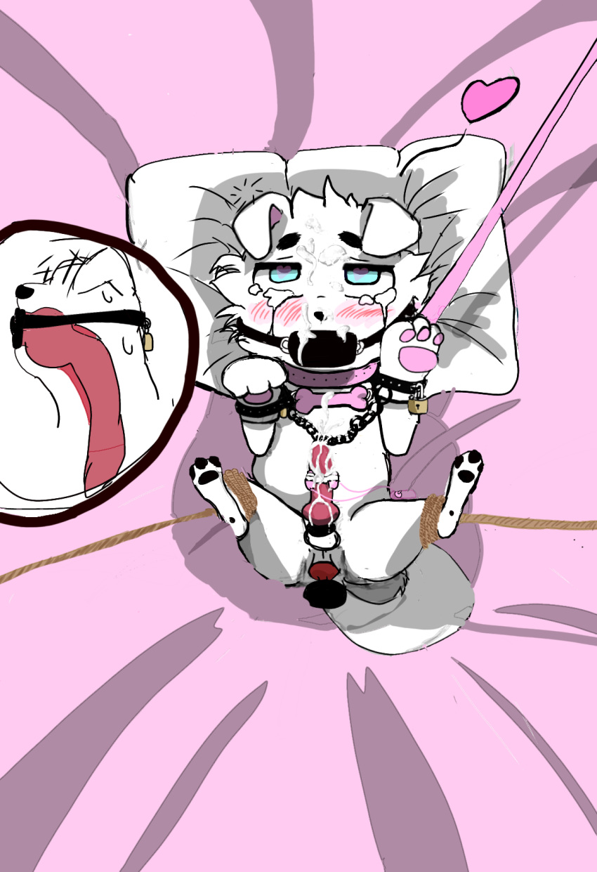 &lt;3 ahegao anal anal_penetration arms_tied bdsm bodily_fluids bound buttplug_in_ass canid canine canis cock_gag collar cum cum_while_penetrated domestic_dog egg_vibrator feral fucked_silly gag gagged genital_fluids hi_res intersex intersex/male leash leash_pull legs_tied looking_pleasured male male/male mammal muzzle_(object) muzzled penetration sex_toy solo spread_legs spreading unknown_artist vibrator