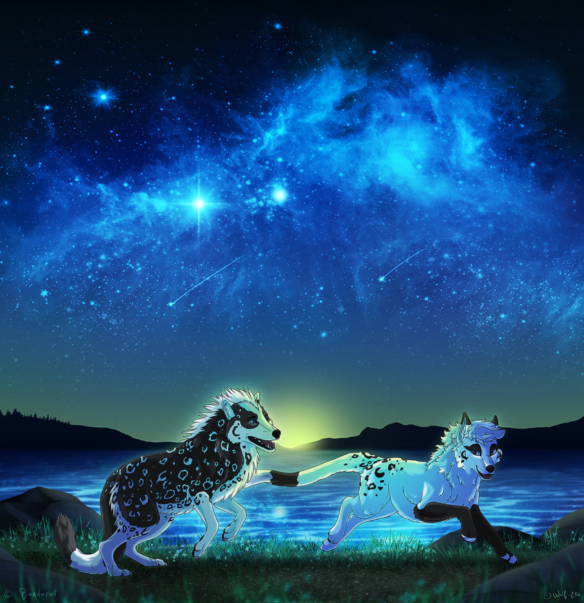 2020 black_body black_fur black_nose canid canine canis detailed_background digital_media_(artwork) fur grass hi_res mammal night open_mouth outside sky spots spotted_body spotted_fur star starry_sky teeth tongue white_body white_fur wolf wolf250