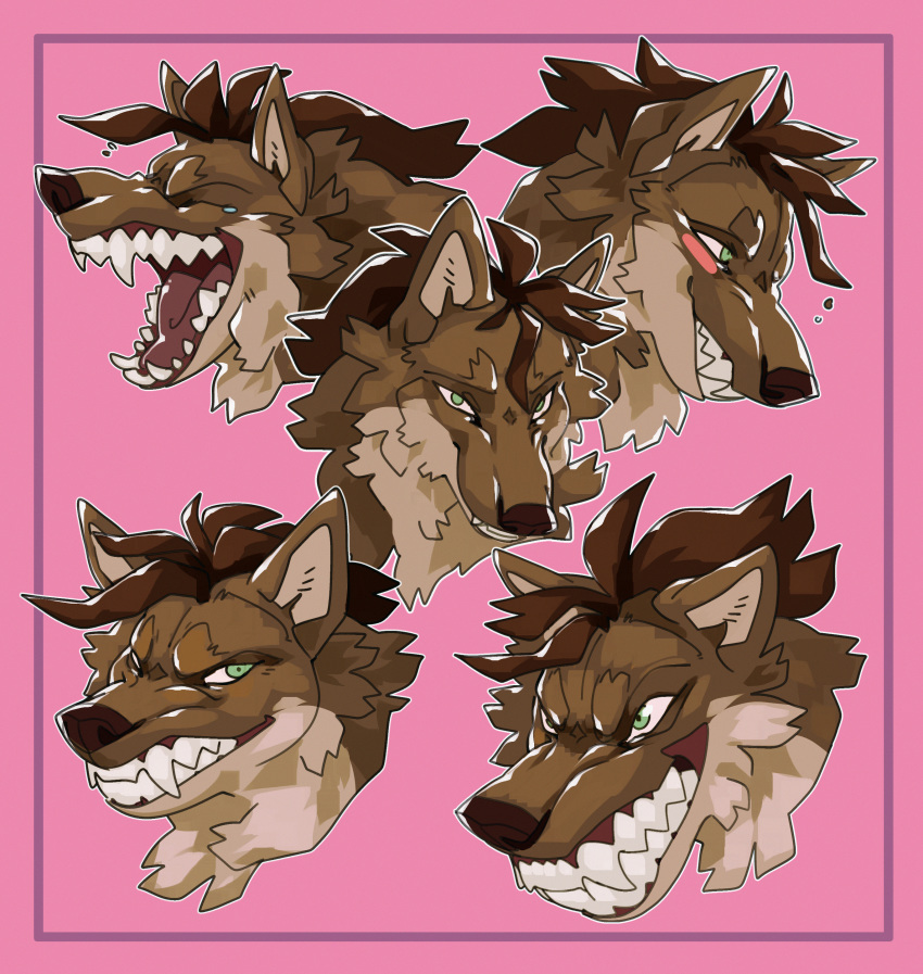 absurd_res anthro blizzard_entertainment blush canid canine canis digital_media_(artwork) expression_sheet expressions female fur hair hi_res looking_at_viewer mammal model_sheet open_mouth sareii simple_background smile solo teeth tess_layton tongue video_games warcraft were werecanid werecanine werewolf wolf worgen