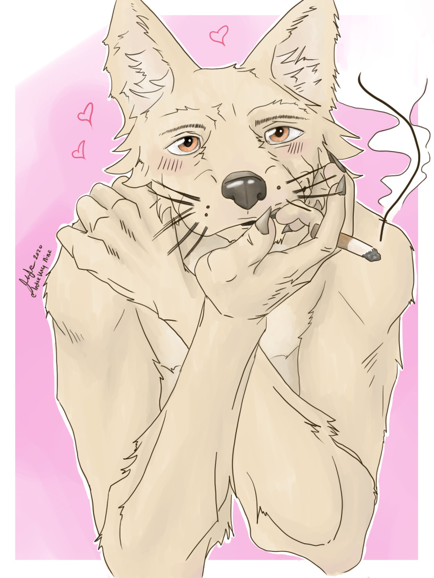3:4 anthro bite blush brown_body canid canine canis cigarette cute_eyes cute_face digital_media_(artwork) domestic_dog finger_bite finger_fetish finger_in_mouth finger_play fingers fluffy fur gaze glistening glistening_eyes hair hi_res hug index_key_nine indexkeynine looking_at_viewer male mammal nude pose simple_background smoking solo whiskers yellow_body yellow_fur