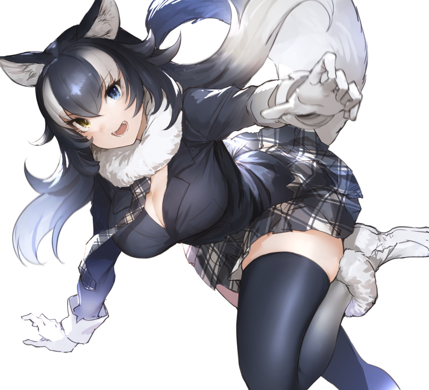 1girl animal_ear_fluff animal_ears bent_over black_hair black_jacket blazer blue_eyes breasts cleavage commentary eyebrows_visible_through_hair folded_leg foot_out_of_frame fur-trimmed_footwear fur_collar gloves gradient gradient_legwear grey_wolf_(kemono_friends) hair_between_eyes heterochromia highres jacket kemono_friends koruse large_breasts leg_up long_hair long_sleeves looking_at_viewer miniskirt multicolored multicolored_clothes multicolored_hair multicolored_legwear necktie open_mouth outstretched_arms plaid plaid_neckwear plaid_skirt simple_background skirt sleeve_cuffs solo standing standing_on_one_leg tail tail_raised teeth thighhighs two-tone_hair white_background white_footwear white_gloves white_hair yellow_eyes zettai_ryouiki