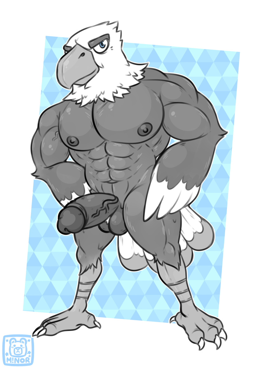 absurd_res accipitrid accipitriform animal_crossing anthro apollo_(animal_crossing) avian bald_eagle balls beak bird claws digital_media_(artwork) eagle erection feathered_wings feathers genitals hi_res humanoid humanoid_genitalia humanoid_penis male muscular muscular_anthro muscular_male nintendo nipples nude pecs penis sea_eagle simple_background smile solo ursa-m1nor video_games wings