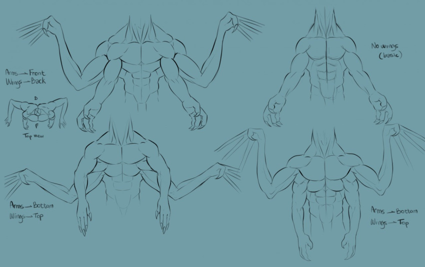 2020 4_arms 4_fingers abs anatomical_study anatomically_correct anatomy anthro bat_wings black_and_blue claws design_sheet dragon english_text fingers front_view high-angle_view humanoid long_neck male membrane_(anatomy) membranous_wings model_sheet monochrome multi_arm multi_limb multi_pec multifur muscular muscular_male note notes piefacedraws realistic_anatomy reference_guide scalie sketch solo text wings