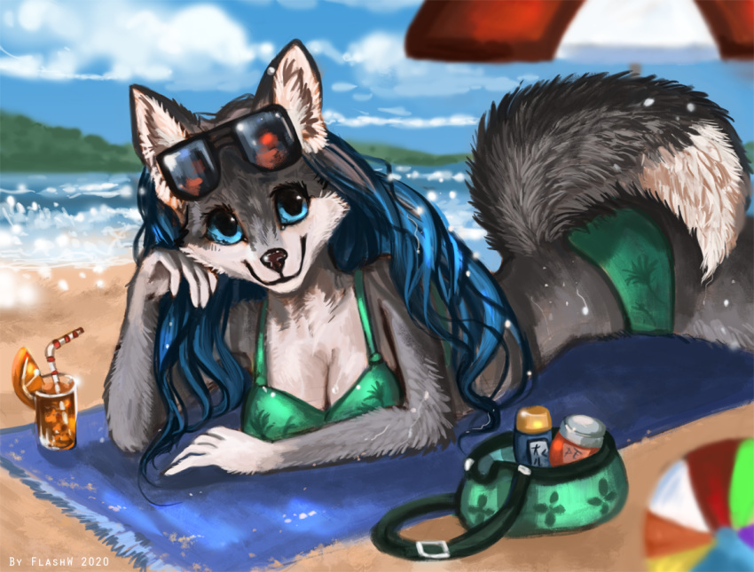 2020 anthro beach blue_eyes canid canine canis day detailed_background digital_media_(artwork) domestic_dog female flashlioness husky mammal nordic_sled_dog outside sand seaside shoreline sky smile solo spitz water