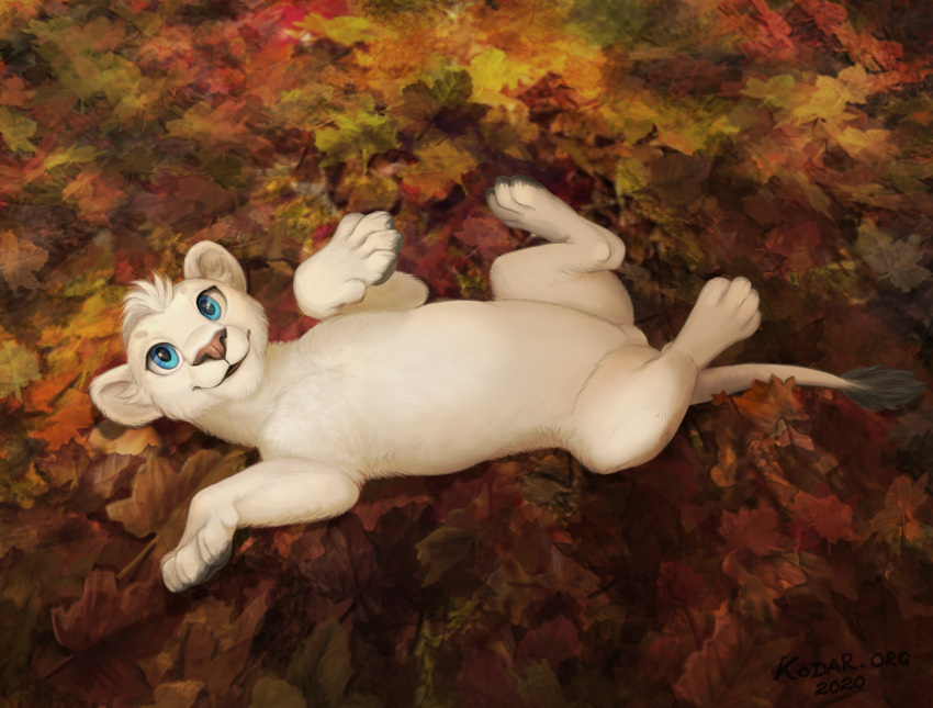4_toes blue_eyes day detailed_background felid female feral fur hi_res kodardragon lion looking_at_viewer mammal outside pantherine paws solo toes white_body white_fur