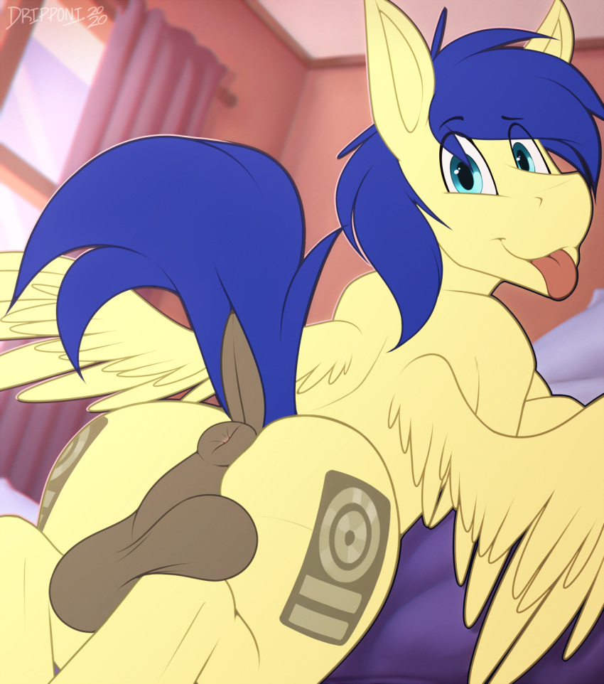 anus backsack balls cutie_mark dripponi equid equine feathered_wings feathers feral genitals hasbro hi_res looking_at_viewer male mammal my_little_pony nude pegasus solo tongue tongue_out wings yellow_body yellow_feathers