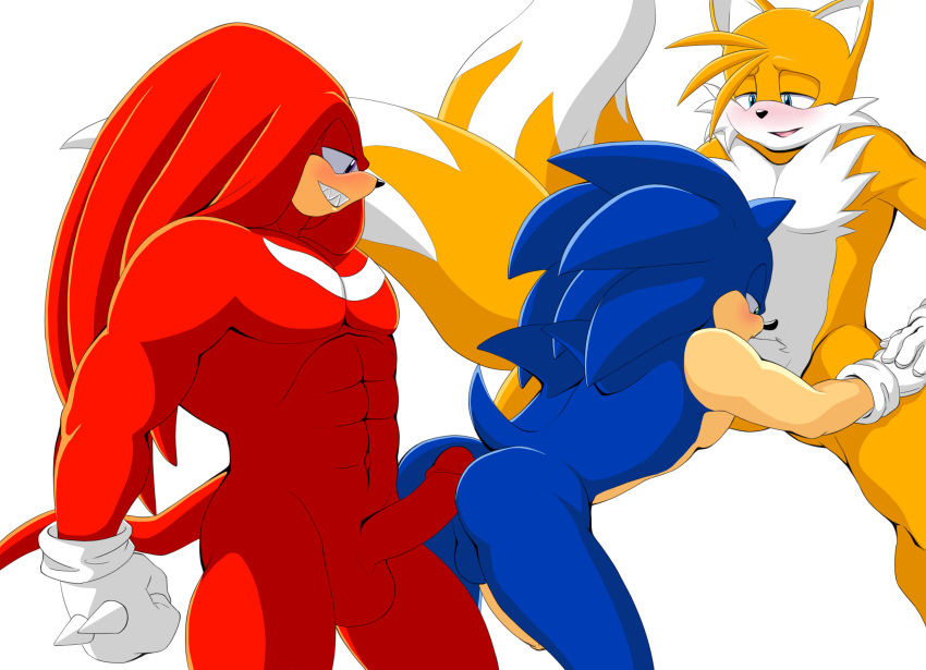 alpha_channel anthro blue_body blue_fur blush canid canine echidna eulipotyphlan fox fur genitals group group_sex hedgehog hi_res humanoid_genitalia humanoid_penis knuckles_the_echidna male male/male mammal miles_prower monotreme muscular muscular_male penis red_body red_fur sex sonic_the_hedgehog sonic_the_hedgehog_(series) sucking tailverknk tailverpop threesome yellow_body yellow_fur