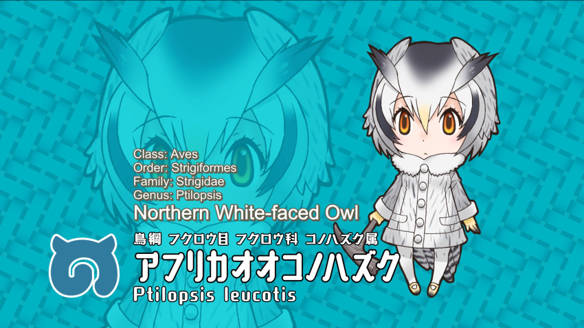 kemono_friends northern_white-faced_owl_(kemono_friends) tagme