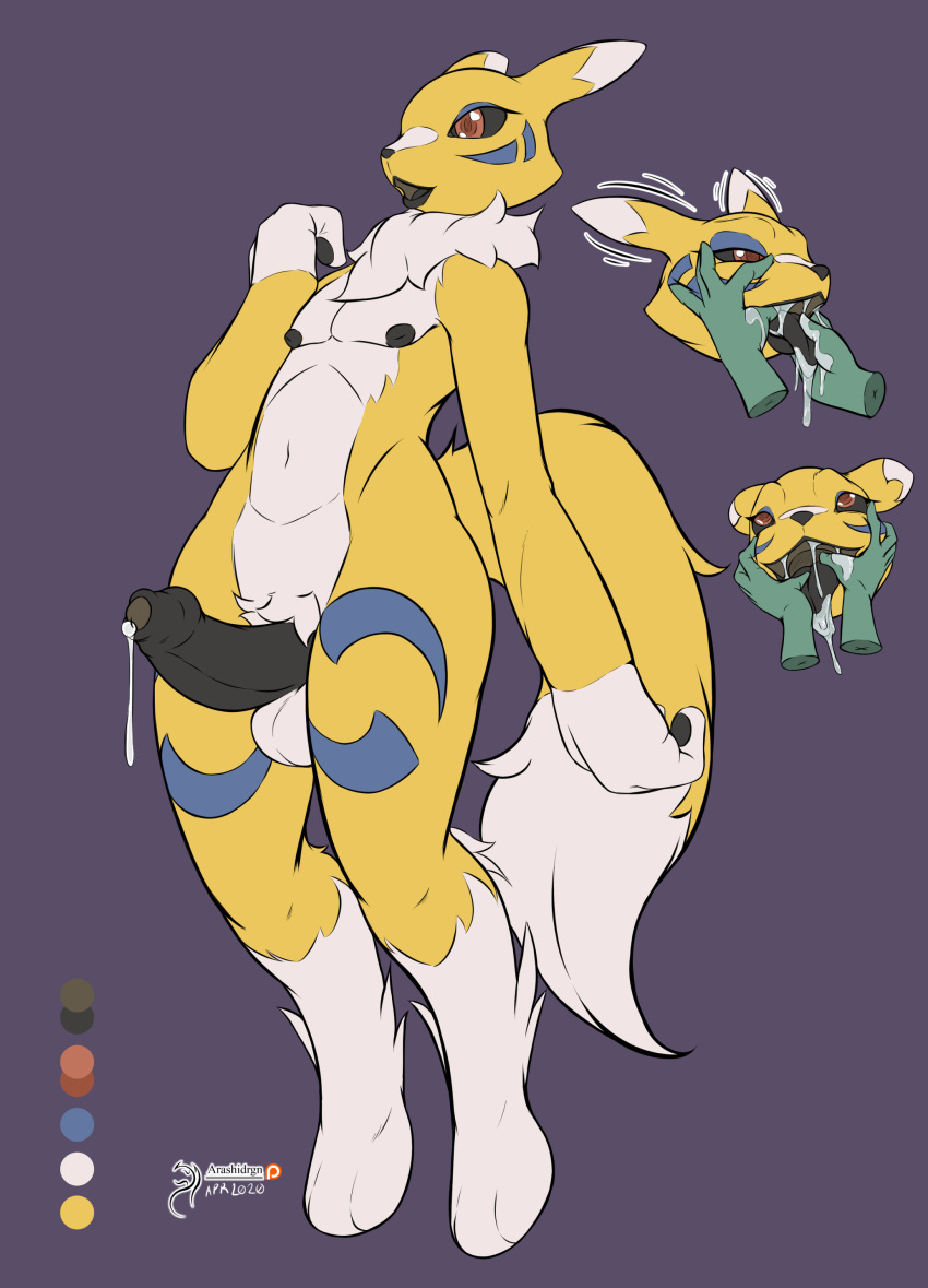 2020 absurd_res arashidrgn balls bodily_fluids canid canine cum digimon digimon_(species) erection fur genital_fluids genitals hi_res male mammal nipples nude penis renamon solo white_body white_fur yellow_body yellow_fur