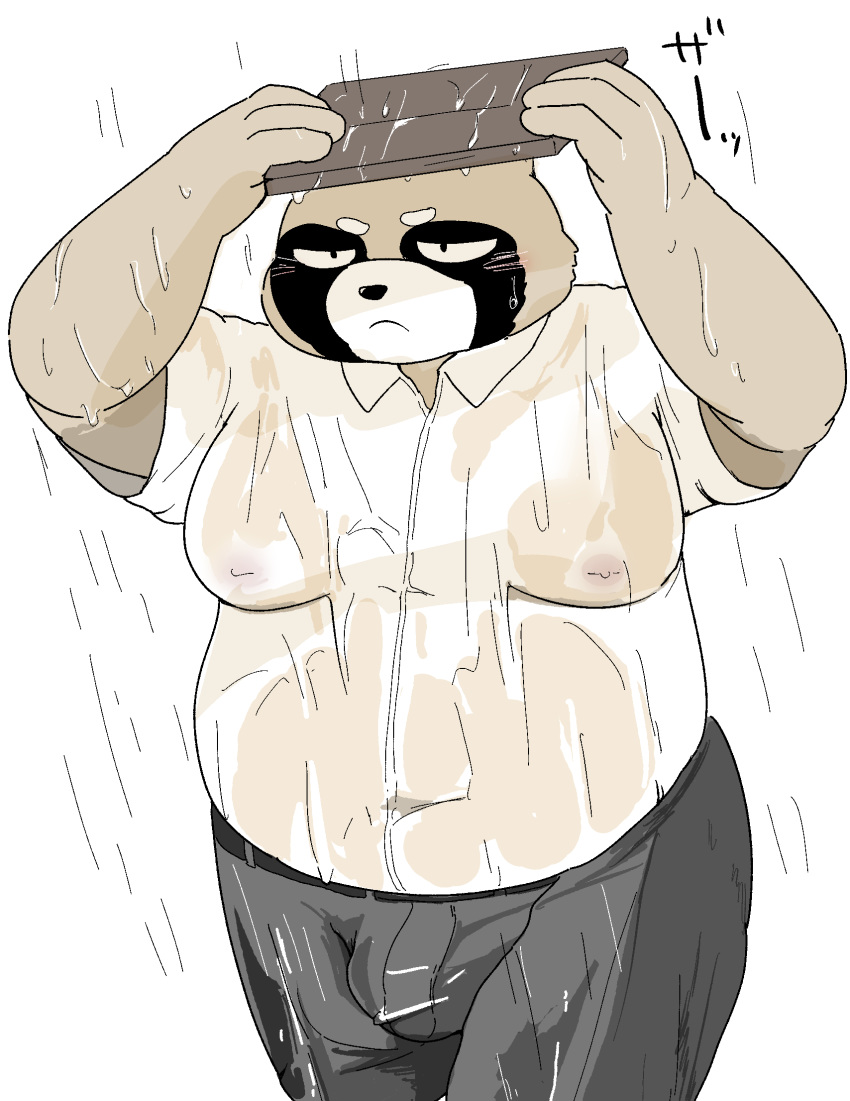 2020 anthro belly bonedra bottomwear bulge canid canine clothing hi_res kemono male mammal moobs outside overweight overweight_anthro overweight_male pants raccoon_dog raining shirt solo tanuki topwear wet