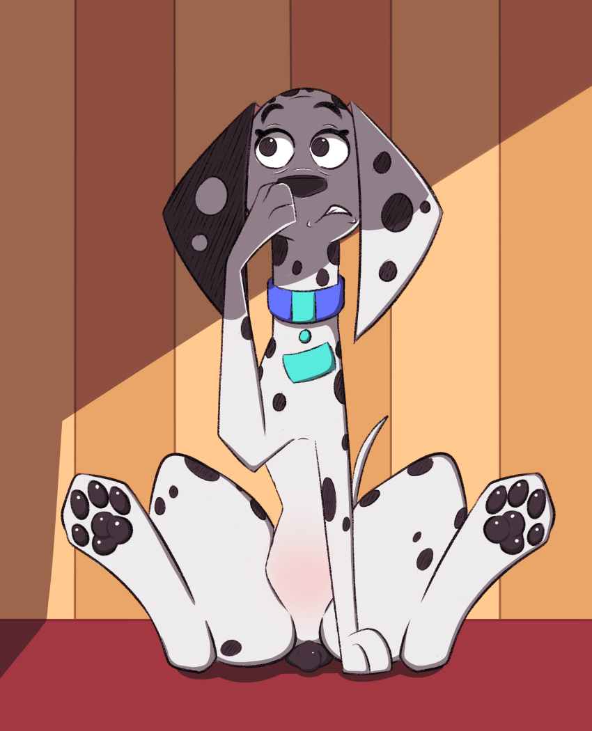 101_dalmatian_street 101_dalmatians 2019 4_toes absurd_res animal_genitalia animal_pussy canid canine canine_pussy canis collar dalmatian delilah_(101_dalmatians) disney domestic_dog female feral genitals hi_res hindpaw mammal paws psy101 pussy solo spots toes