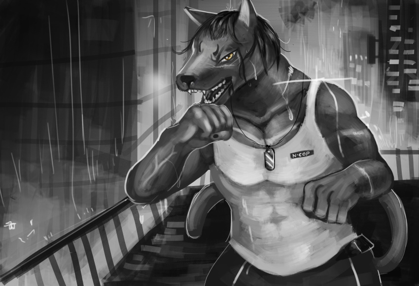 absurd_res anixaila anthro canid canine canis cheracter_noir fighting_pose greyscale hi_res male mammal monochrome pose raining solo