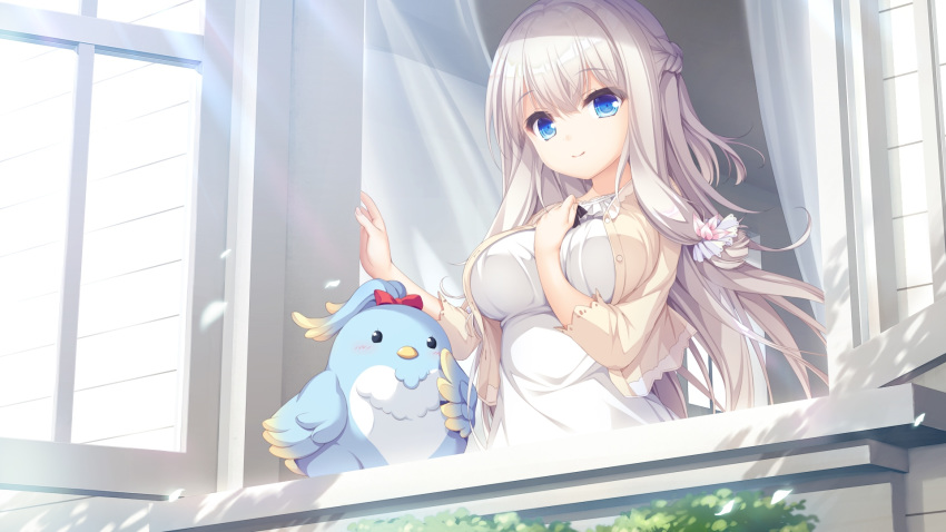 1girl between_breasts bird blue_eyes braid breasts day eyebrows_visible_through_hair french_braid from_outside game_cg hand_between_breasts highres kimihara_yua large_breasts long_hair mikagami_mamizu official_art open_window pieces_/_wataridori_no_somnium smile solo white_hair window