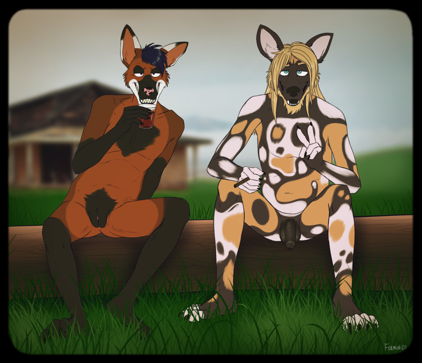 african_wild_dog andromorph anthro avery_(foxmusk) balls biped body_hair canid canine canis duo foxmusk genitals intersex male mammal maned_wolf markings nude penis pussy slightly_chubby smile tuscon_(foxmusk)