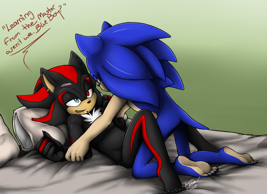 anthro bed black_body black_fur blizzardwolf blue_body blue_fur duo eulipotyphlan fur furniture hedgehog hi_res male male/male mammal multicolored_body multicolored_fur red_body red_fur shadow_the_hedgehog sonic_the_hedgehog sonic_the_hedgehog_(series) two_tone_body two_tone_fur