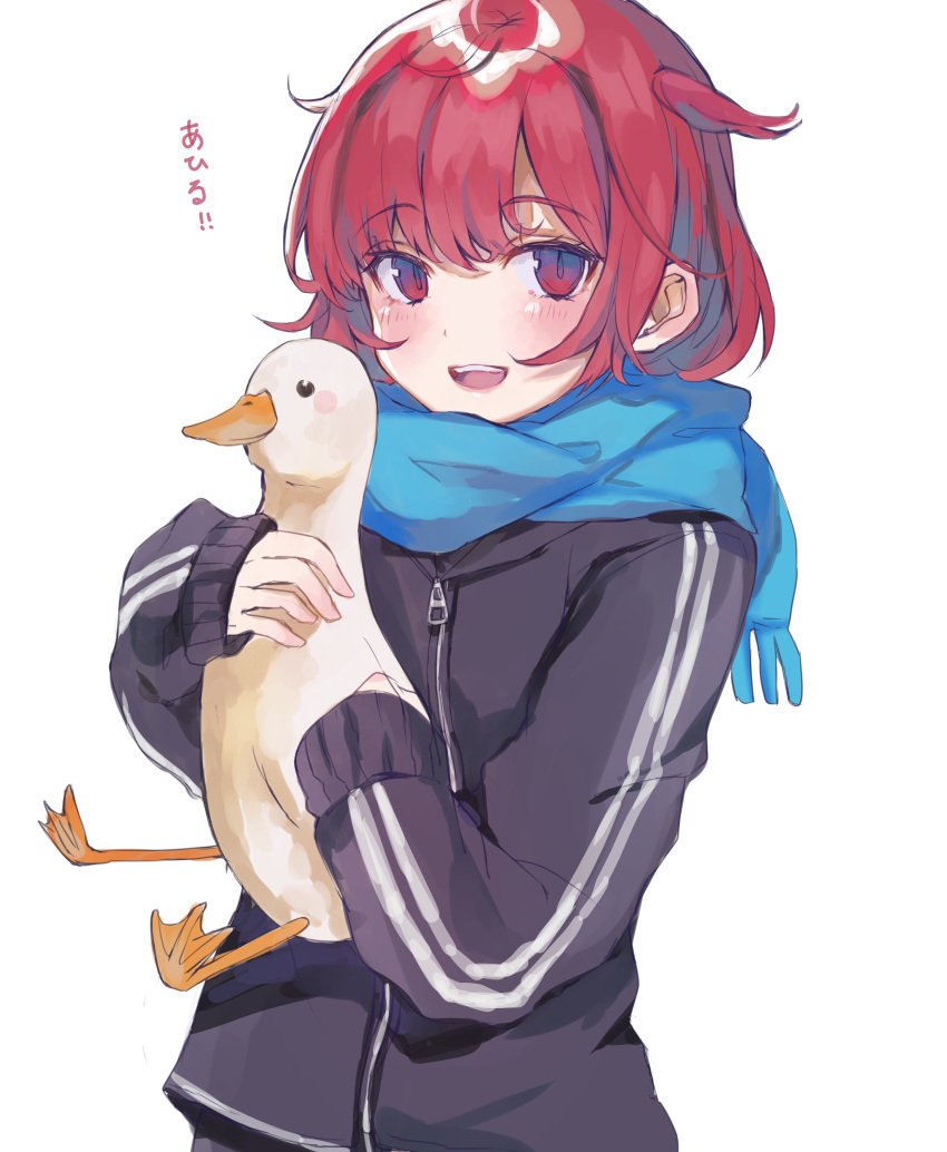 1girl :d absurdres animal bangs bird black_jacket blue_scarf blush commentary_request eyebrows_visible_through_hair fringe_trim goose heremia highres holding holding_animal jacket long_sleeves looking_at_viewer open_mouth original red_eyes red_hair scarf simple_background sleeves_past_wrists smile solo translation_request upper_body upper_teeth white_background