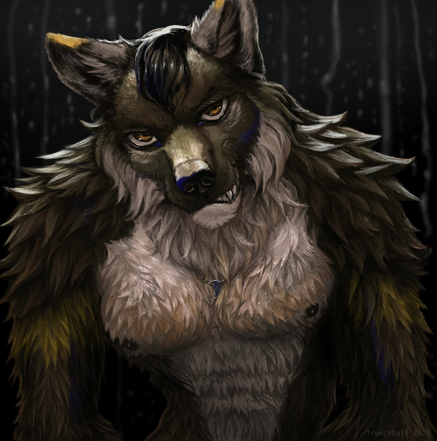 2020 anthro black_hair brown_body brown_eyes brown_fur canid canine canis conditional_dnp digital_media_(artwork) fur hair hi_res looking_at_viewer male mammal nipples solo trunchbull wolf