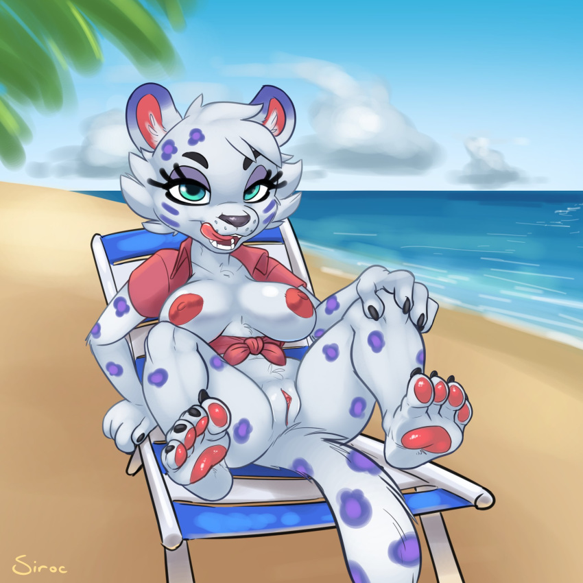 1:1 animal_crossing anthro beach beach_chair bianca_(animal_crossing) breasts clitoral_hood clitoris clothing feet felid female genitals hi_res humanoid_genitalia humanoid_pussy licking licking_lips looking_at_viewer mammal nintendo nipples palm_tree pantherine pawpads presenting presenting_pussy pussy seaside shirt siroc sitting snow_leopard solo spread_legs spreading tied_shirt toes tongue tongue_out topwear tree video_games