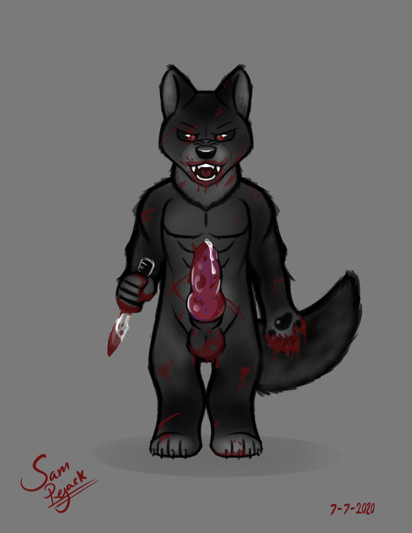 absurd_res animal_genitalia animal_penis anthro balls black_body black_fur blood blood_on_face blood_on_hand blood_on_mouth blood_on_penis blood_on_weapon bloody_wolf bodily_fluids canid canine canine_penis canis dagger erection fangs fur genital_fluids genitals grey_background hi_res knife knot male mammal melee_weapon nude penis precum red_eyes red_penis samuel_pejack scar simple_background solo weapon wolf