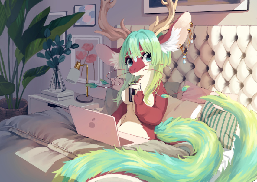absurd_res anthro antlers bed bedroom belly beverage big_ears breasts computer detailed_background dragon ear_piercing featureless_breasts female fur furniture furred_dragon green_hair hair hi_res horn hybrid jewelry lamp laptop long_hair long_tail mochiiinyam multicolored_body multicolored_fur on_bed piercing plant plant_pot red_body red_fur solo two_tone_body two_tone_fur under_covers whiskers white_belly white_body white_fur