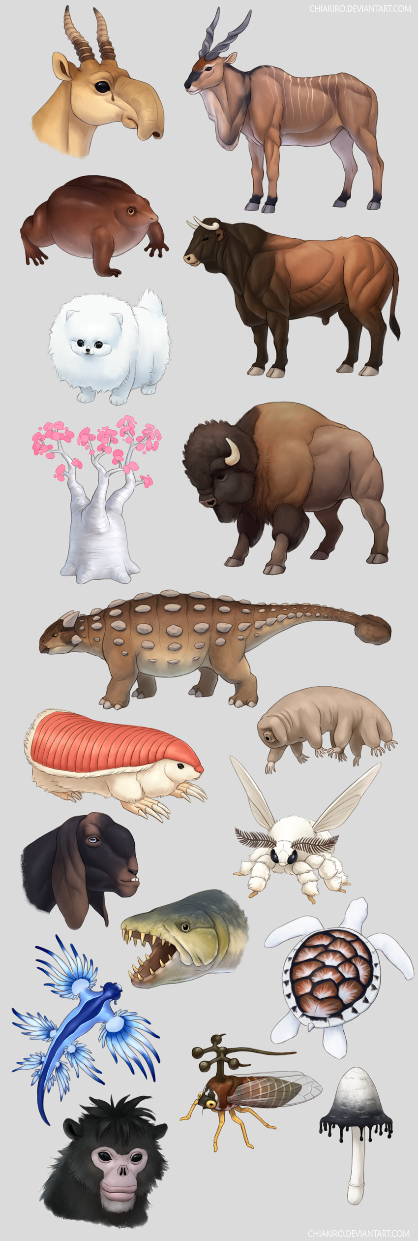 2019 2_horns absurd_res ambiguous_gender amphibian ankylosaurian ankylosaurid ankylosaurus antelope aquatic_gastropod armadillo arthropod bison black_body black_skin blue_dragon_slug bovid bovine brown_body brown_fur brown_skin canid canine canis caprine chiakiro curved_horn dark_body dark_skin dewlap_(anatomy) dinosaur domestic_dog domestic_goat domestic_silk_moth feral fish fluffy frog fungus fur gastropod goat grey_background grey_hooves grey_horn group head_horn headshot_portrait hi_res hooves horn inky_cap insect kamori_goat lepidopteran light_body light_ears light_face light_fur light_horn light_tail long_horn mammal marine mollusk monotone_body monotone_ears monotone_face monotone_fur monotone_hooves monotone_horn monotone_tail moth multi_tone_body multi_tone_skin multicolored_body multicolored_skin mushroom nudibranch ornithischian pink_fairy_armadillo portrait purple_frog quadruped reptile saiga_antelope scalie sea_slug short_fur short_tail simple_background slug small_tail species_request spiral-horned_antelope spiral_horn standing striped_body striped_fur stripes tactopod tan_body tan_skin tardigrade thyreophoran toy_dog true_antelope turtle white_body white_ears white_face white_fur white_horn white_tail xenarthran