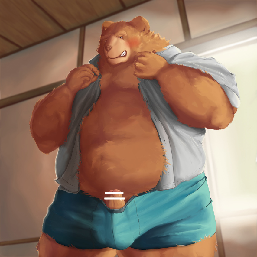 1:1 2017 anthro blush brown_body brown_fur bulge clothed clothing detailed_background erection fur genitals hi_res humanoid_hands kemono male mammal open_shirt overweight overweight_anthro overweight_male penis shirt solo topwear underwear undressing ursid velcro74656