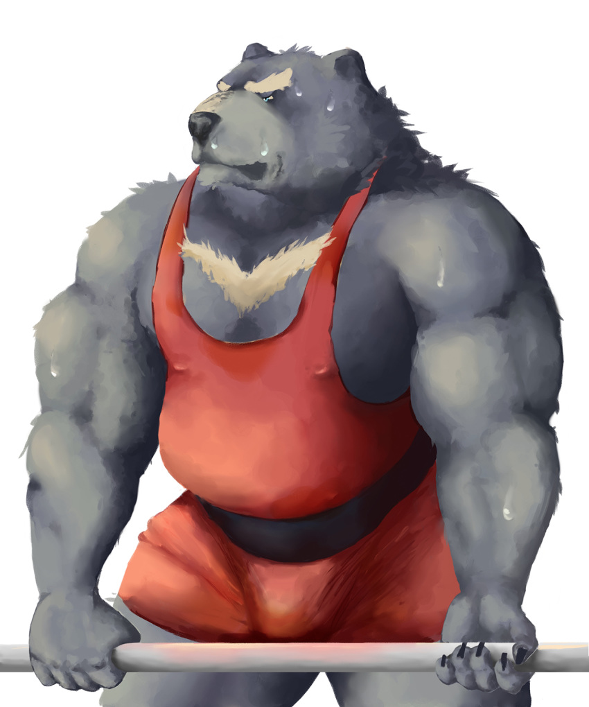 2017 anthro belly bodily_fluids bulge hi_res humanoid_hands kemono male mammal overweight overweight_male simple_background solo sweat ursid velcro74656 white_background wrestling_singlet