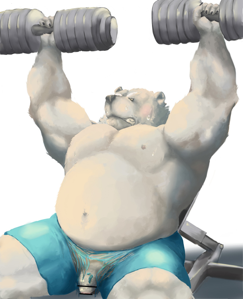 2017 anthro belly bottomwear clothing exercise fur genitals hi_res kemono male mammal moobs nipples overweight overweight_male penis polar_bear shorts solo ursid ursine velcro74656 white_body white_fur workout