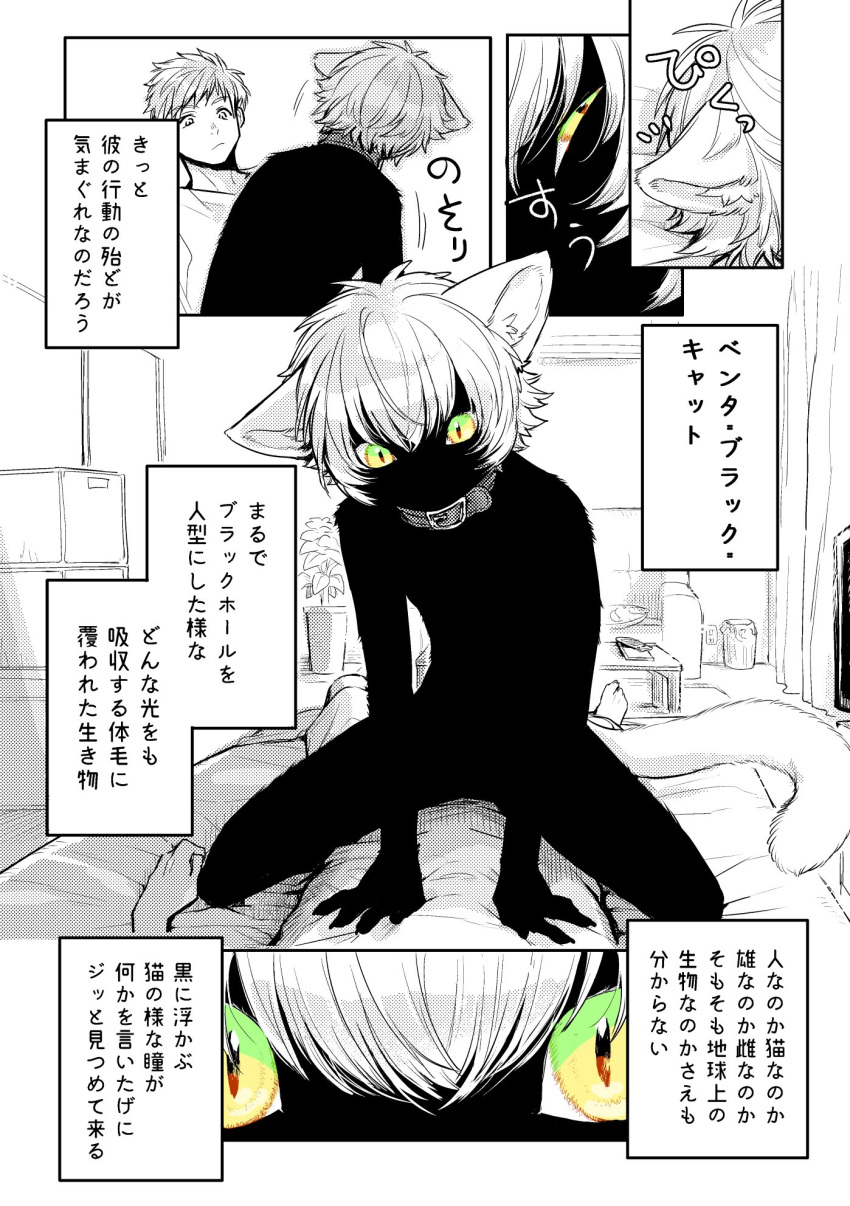 ambiguous_gender anthro bed comic dialogue domestic_cat duo felid feline felis furniture green_eyes hair hi_res hit_ton_ton human japanese_text kemono male mammal text text_box translation_request vantablack_fur white_hair yellow_eyes