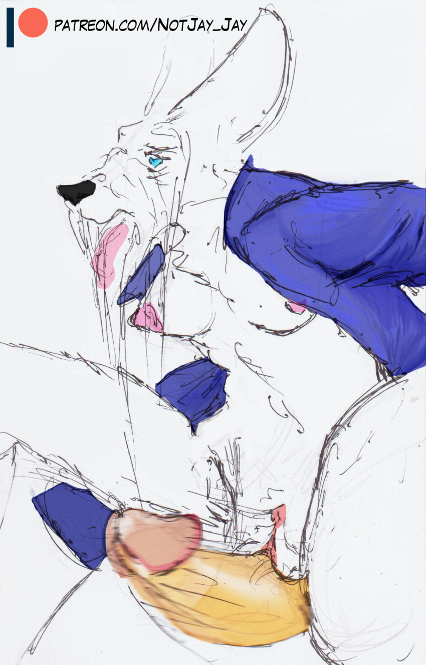 ahegao anthro bodily_fluids canid canine cum fellatio female fox frijjid from_behind_position genital_fluids hi_res humanoid looking_pleasured male male/female mammal not_jay_jay oral penile rimworld sex slim text thigh_sex url