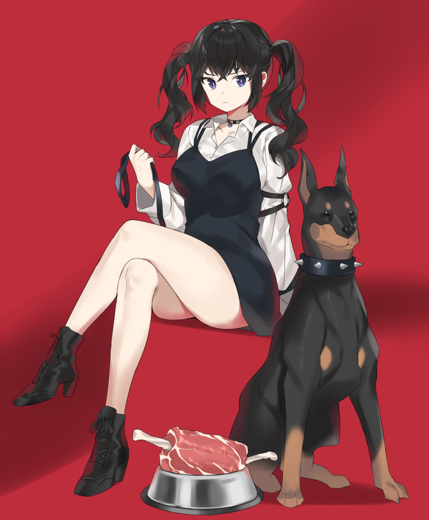 1girl absurdres ass bangs black_choker black_dress black_footwear boned_meat choker collar collared_shirt commentary_request commission crossed_bangs crossed_legs doberman dog dress dress_shirt food gogoco high_heels highres korean_commentary leash long_sleeves looking_at_viewer meat original pinafore_dress red_background shirt short_dress sitting solo spiked_collar spikes twintails wavy_hair white_shirt