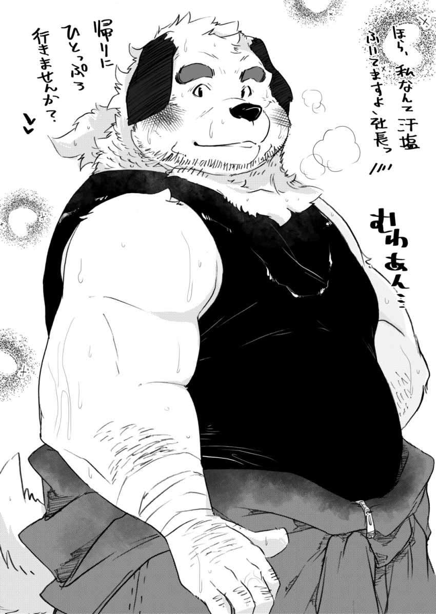 2020 anthro blush bodily_fluids canid canine canis clothing domestic_dog hi_res humanoid_hands japanese_text kemono male mammal monochrome overweight overweight_anthro overweight_male shintatokoro shirt solo sweat text topwear