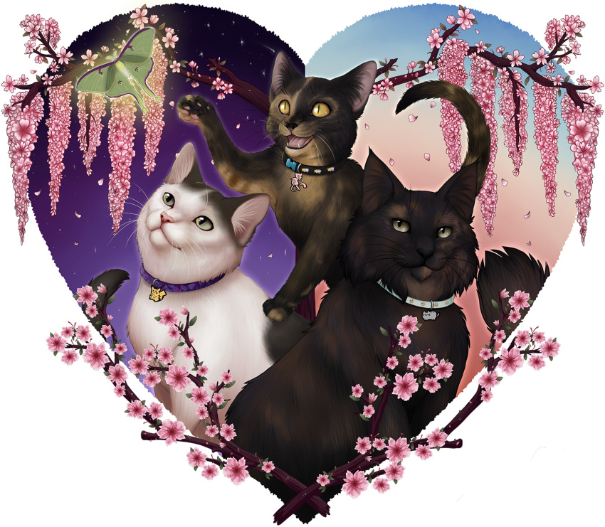 &lt;3 ajna ambiguous_gender arthropod black_body black_collar black_fur black_nose black_pawpads blue_collar branch brown_body brown_fur collar day domestic_cat fangs felid feline felis feral flower fur green_eyes grey_eyes group heart_background hi_res inner_ear_fluff insect legendary_pok&eacute;mon lepidopteran luna_moth mammal mew moth mottled mottled_body mottled_fur multicolored_body multicolored_fur night nintendo open_mouth orange_eyes pawpads pikachu pink_nose pink_pawpads pink_tongue plant pok&eacute;mon pok&eacute;mon_(species) pupils purple_collar saturniid shooting_star sky slit_pupils star starry_sky striped_body striped_fur stripes tongue tuft two_tone_body two_tone_fur two_tone_pawpads video_games whiskers white_body white_fur