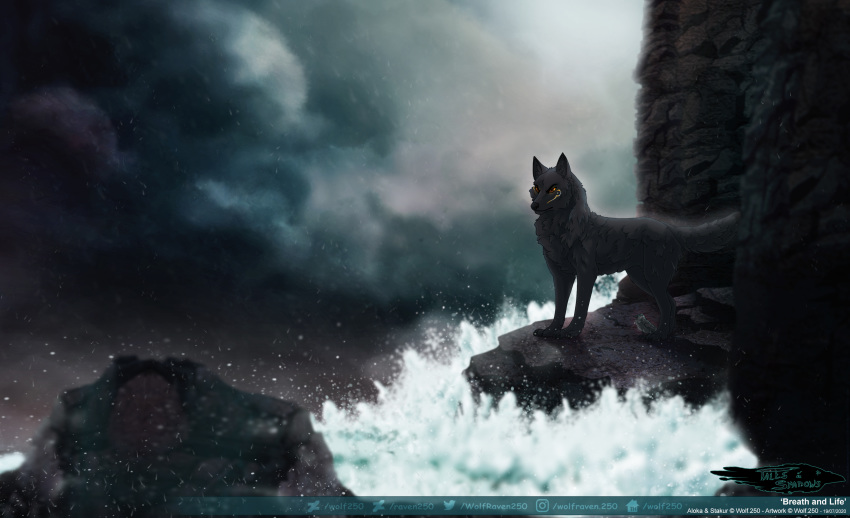 2020 absurd_res ambiguous_gender black_body black_fur black_nose brown_eyes canid canine canis day detailed_background digital_media_(artwork) feral fur hi_res mammal outside paws rock solo wolf wolf250