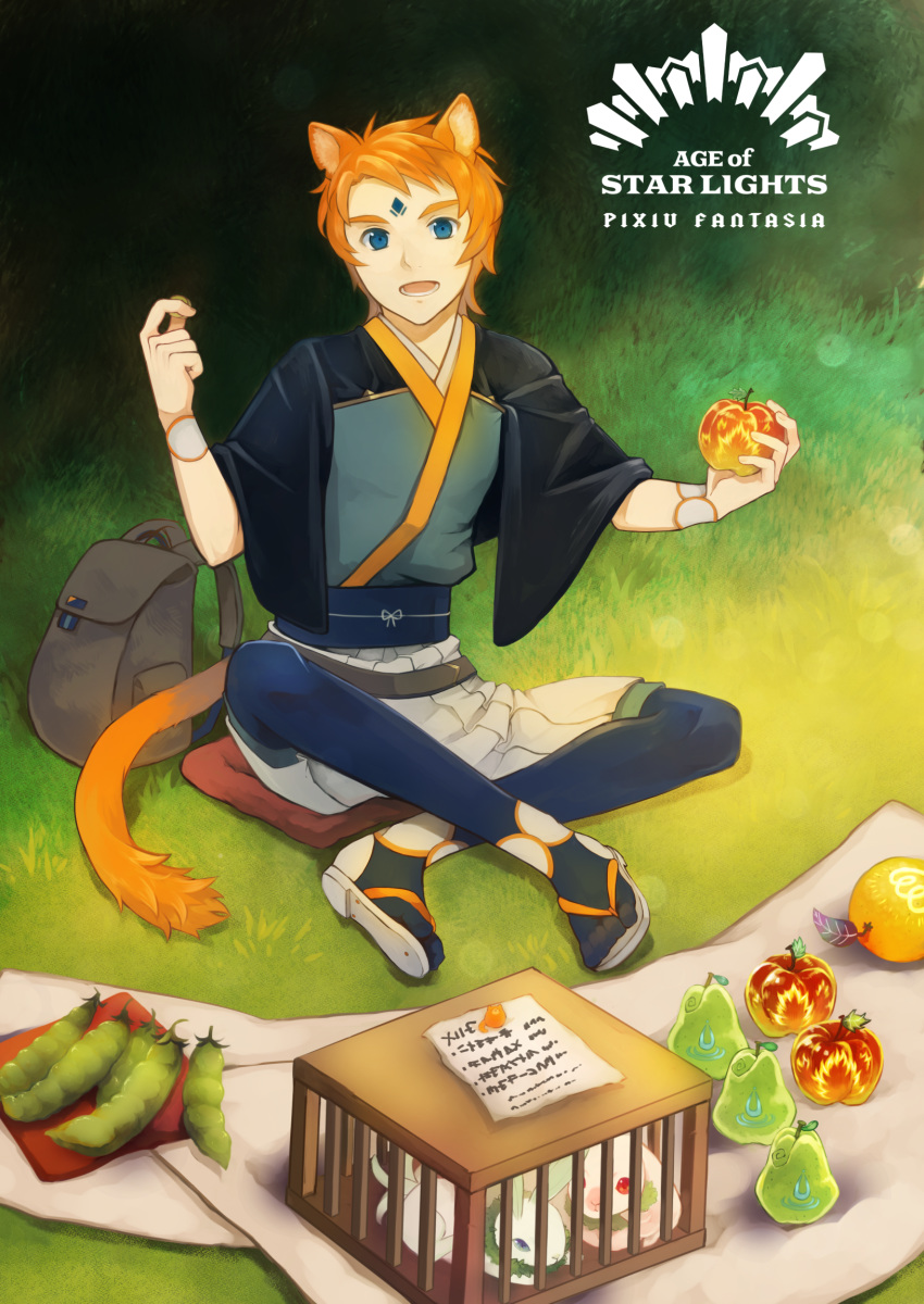 1boy animal_ears backpack bag blue_eyes cage copyright_name crossed_ankles day facial_mark food forehead_mark fruit grass highres holding holding_food holding_fruit male_focus orange_hair outdoors pear pixiv_fantasia pixiv_fantasia_age_of_starlight ranjullo_tomorry sitting solo tail yoshiroad