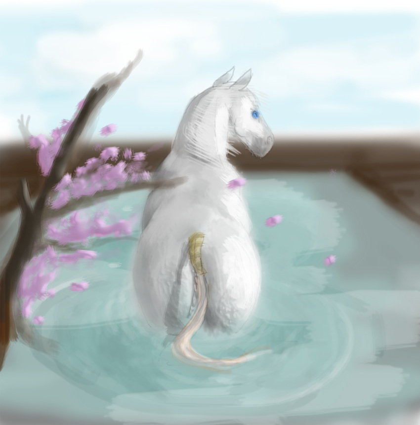 absurd_res ambiguous_gender blue_eyes butt cherry_blossom cloud cloudscape day equid equine feral hi_res horse mammal mane peaceful plant rear_view ryxinel sky solo water wave white_body white_mane white_skin white_tail wind