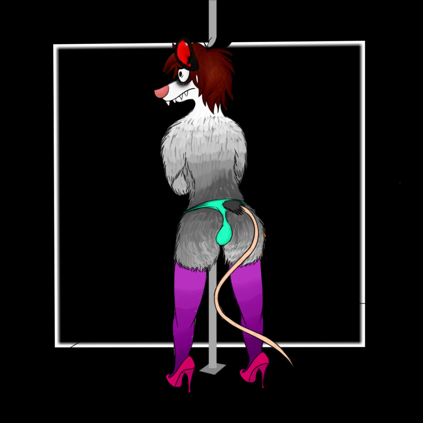 1:1 anthro backwards bulge butt clothing dancing didelphid faticox_(artist) footwear high_heels legwear male mammal marsupial pole pole_dancing shoes socks solo