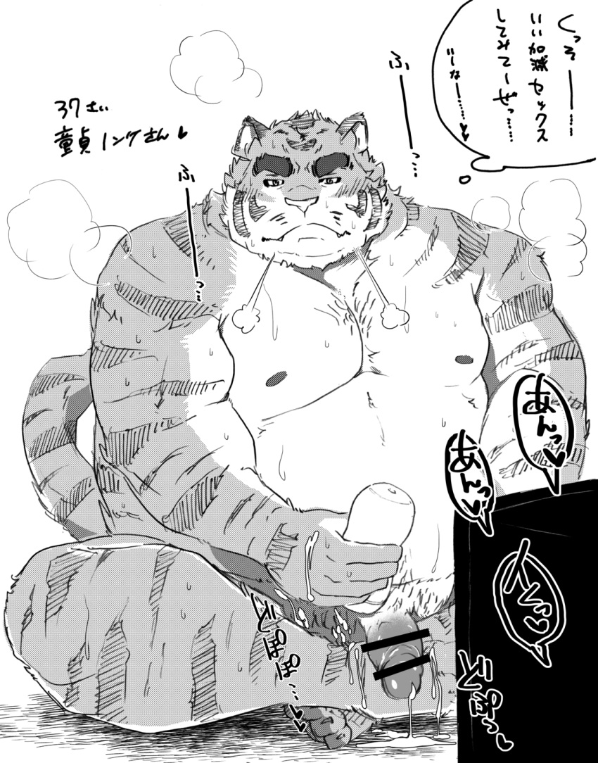 2020 after_masturbation anthro belly bodily_fluids censored cum cum_on_hand felid genital_fluids genitals hi_res humanoid_genitalia humanoid_hands humanoid_penis japanese_text kemono male mammal monochrome moobs nipples overweight overweight_male pantherine penis sex_toy shintatokoro sitting solo text tiger