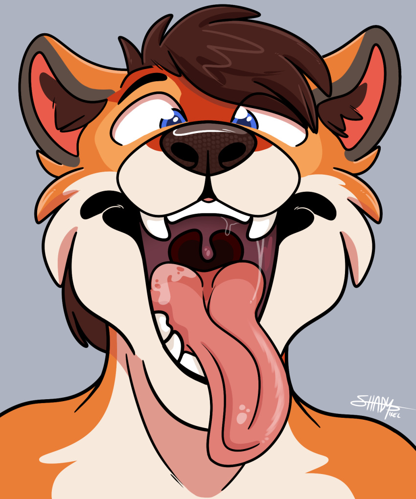 anthro bodily_fluids canid canine drooling feroxdoon fox hi_res male mammal mouth_shot open_mouth red_fox saliva saliva_on_tongue saliva_string shadypixel solo teeth tongue tongue_out