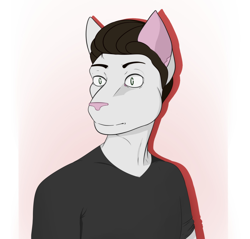 anthro black_clothing black_shirt black_topwear brown_hair clothing domestic_cat eyebrows fan_character felid feline felis hair hano101 hano_(hano101) hi_res male mammal raised_eyebrow shirt simple_background simple_eyes solo topwear whitefur