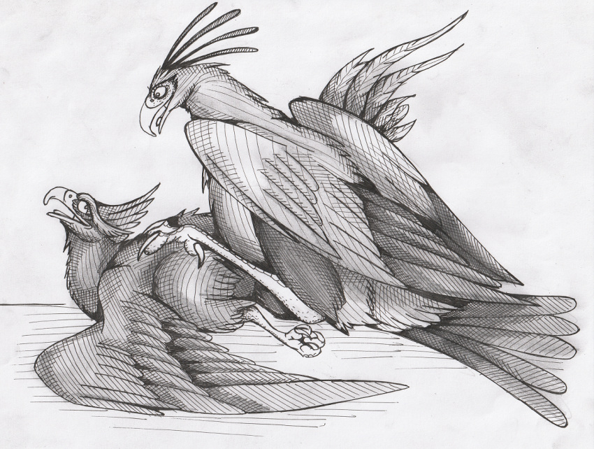 01phoenix01 2019 accipitriform ambiguous/ambiguous ambiguous_gender ass_up avian bird duo european_mythology eye_contact graphite_(artwork) greek_mythology looking_at_another looking_pleasured lying monochrome mythological_avian mythological_firebird mythology on_front outside pencil_(artwork) phoenix raised_tail secretary_bird sex shaded spread_wings traditional_media_(artwork) wings