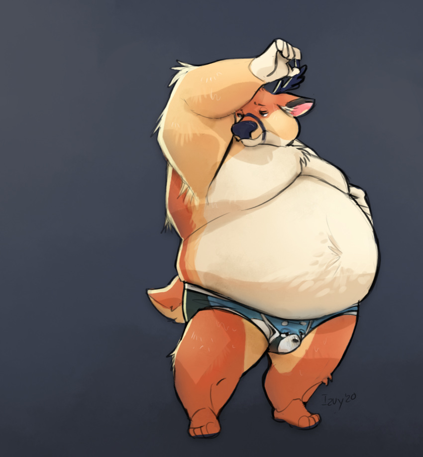 ailurid anthro belly big_belly cervid clothing clothing_transformation digital_media_(artwork) duo fur hi_res inanimate_transformation izvy izvy_(artist) male male/male mammal musk overweight overweight_male ray_the_buck red_panda simple_background transformation underwear